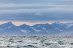 240701b_Isfjord_05_N