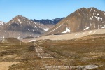 240702c_Ny-Alesund_156_N