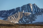 240702c_Ny-Alesund_167_N