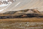240702c_Ny-Alesund_191_N