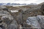 240703b_Blomstrand_24_N