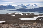 240703b_Blomstrand_49_N