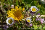 240704a_Fjortende-Julibukta_159_N