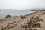 240705a_Danskeneset_33_N