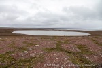 240706a_Sordalsbukta_009_N