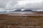 240706a_Sordalsbukta_023_N