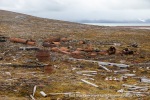 240706a_Sordalsbukta_036_N
