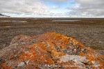 240706a_Sordalsbukta_137_N