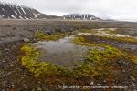 240706b_Grahuken_54_N