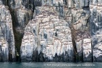 240710b_Alkefjellet_023_N