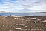 240711a_Von-Otteroya_030_N