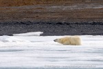 240711a_Von-Otteroya_114_N