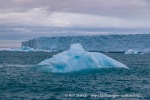 240711b_Braasvellbreen_03_N