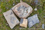 240712b_Buedelfjellet_078_N