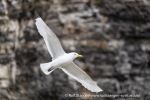 240712b_Buedelfjellet_105_N