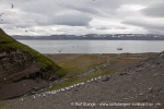 240712b_Buedelfjellet_128_N