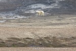 240712d_Skarpryttaren_04_N