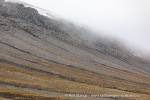 240712e_Isbjornodden_063_N