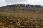 240712e_Isbjornodden_078_N