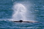 240713a_Storfjord_24_N