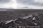 240713b_Isbukta_02_N