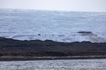 240713b_Isbukta_15_N