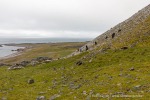 240716c_Ingeborgfjellet_02_D