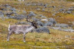 240716b_Sundhogda_09_N