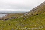 240716c_Ingeborgfjellet_02_N