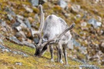 240716d_Sundhogda_03_N
