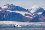 240702c_Ny-Alesund_012_N