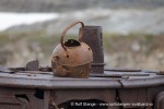 240703b_Blomstrand_06_N