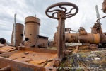 240703b_Blomstrand_16_N