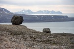 240703b_Blomstrand_60_N