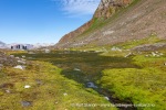 240704a_Fjortende-Julibukta_096_N