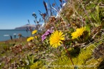240704a_Fjortende-Julibukta_178_N