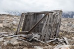 240705a_Danskeneset_10_N