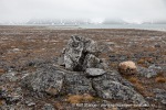 240705a_Danskeneset_29_N