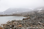 240705a_Danskeneset_66_N