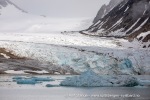 240705b_Smeerenburgbreen_64_N