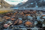 240705c_Virgohamna_33_N