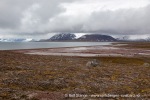 240706a_Sordalsbukta_023_N