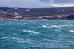 240708a_Murchisonfjord_18_N
