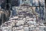 240710b_Alkefjellet_019_N