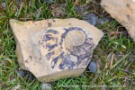 240712b_Buedelfjellet_082_N