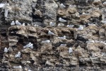 240712b_Buedelfjellet_101_N