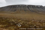 240712e_Isbjornodden_078_N