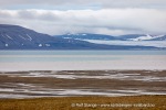 240712e_Isbjornodden_083_N