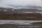 240714_Gaashamna_87_N