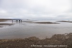 240717a_Tundraodden_011_N